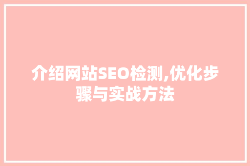 介绍网站SEO检测,优化步骤与实战方法
