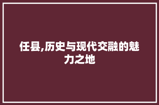 任县,历史与现代交融的魅力之地