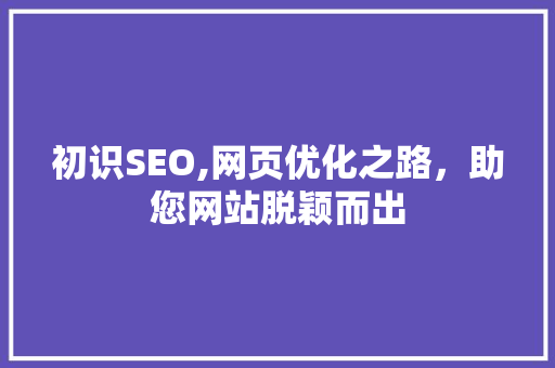 初识SEO,网页优化之路，助您网站脱颖而出