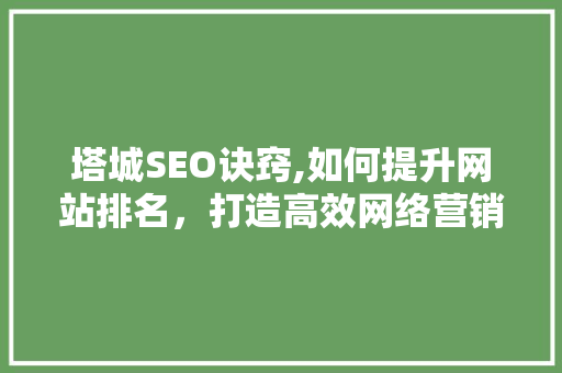 塔城SEO诀窍,如何提升网站排名，打造高效网络营销步骤  第1张