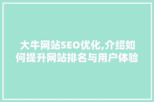 大牛网站SEO优化,介绍如何提升网站排名与用户体验