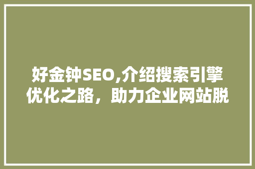 好金钟SEO,介绍搜索引擎优化之路，助力企业网站脱颖而出