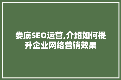 娄底SEO运营,介绍如何提升企业网络营销效果