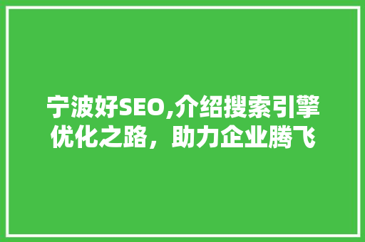 宁波好SEO,介绍搜索引擎优化之路，助力企业腾飞
