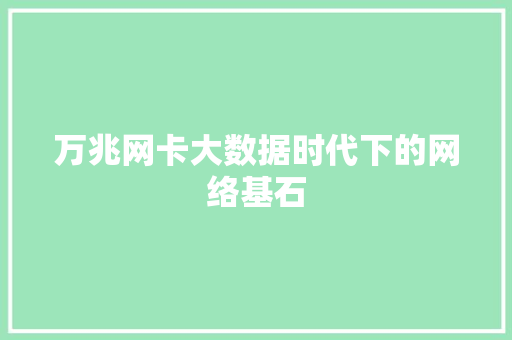 万兆网卡大数据时代下的网络基石