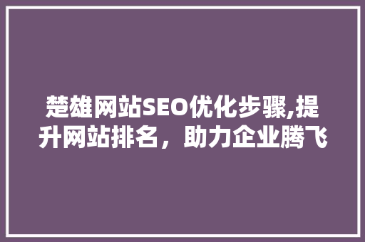 楚雄网站SEO优化步骤,提升网站排名，助力企业腾飞