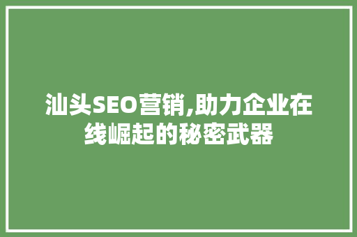 汕头SEO营销,助力企业在线崛起的秘密武器