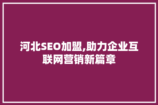 河北SEO加盟,助力企业互联网营销新篇章