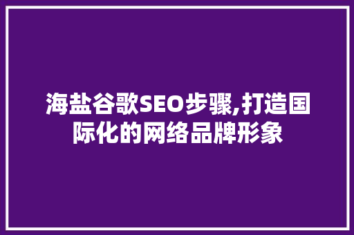 海盐谷歌SEO步骤,打造国际化的网络品牌形象