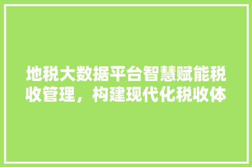 地税大数据平台智慧赋能税收管理，构建现代化税收体系