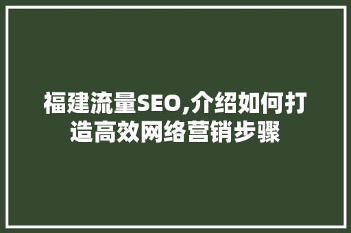 福建流量SEO,介绍如何打造高效网络营销步骤