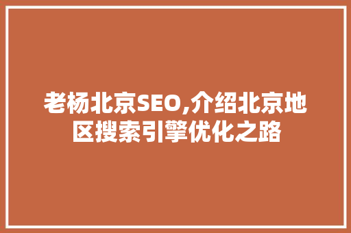 老杨北京SEO,介绍北京地区搜索引擎优化之路