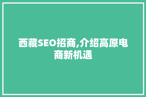 西藏SEO招商,介绍高原电商新机遇