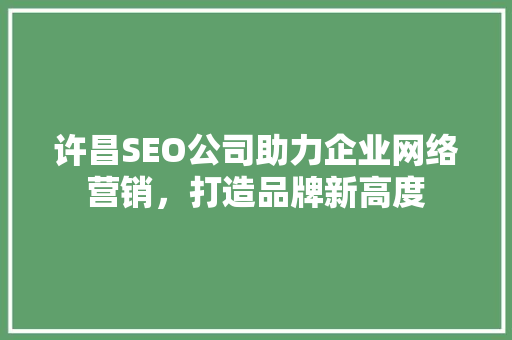 许昌SEO公司助力企业网络营销，打造品牌新高度