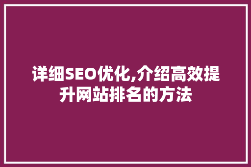 详细SEO优化,介绍高效提升网站排名的方法