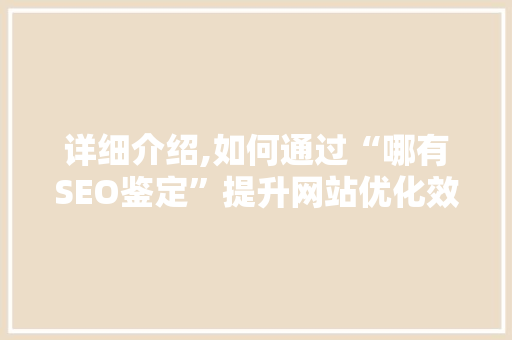 详细介绍,如何通过“哪有SEO鉴定”提升网站优化效果