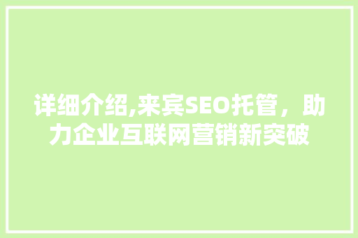 详细介绍,来宾SEO托管，助力企业互联网营销新突破