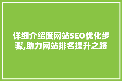 详细介绍度网站SEO优化步骤,助力网站排名提升之路