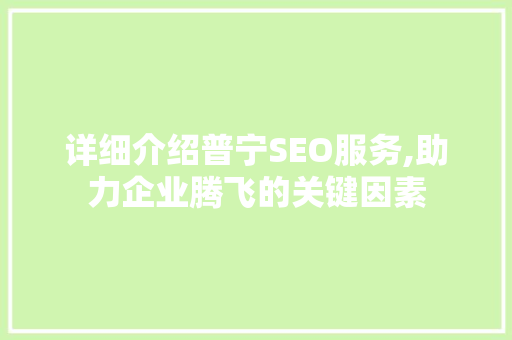详细介绍普宁SEO服务,助力企业腾飞的关键因素