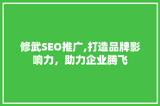 修武SEO推广,打造品牌影响力，助力企业腾飞
