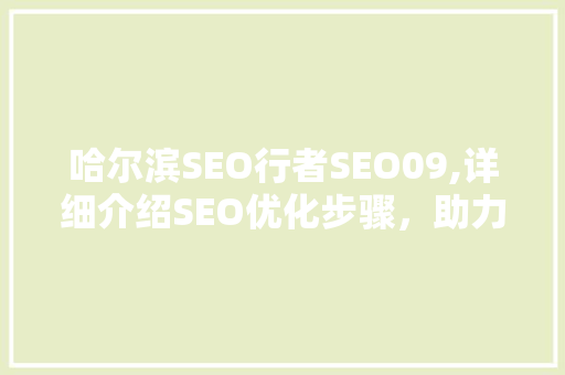哈尔滨SEO行者SEO09,详细介绍SEO优化步骤，助力企业网站排名提升