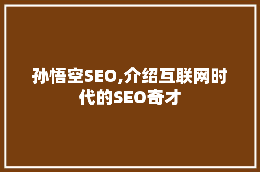 孙悟空SEO,介绍互联网时代的SEO奇才