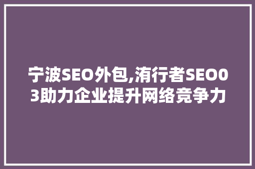 宁波SEO外包,洧行者SEO03助力企业提升网络竞争力