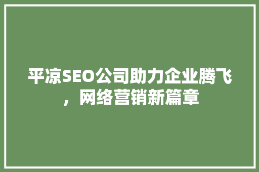 平凉SEO公司助力企业腾飞，网络营销新篇章