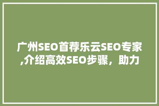 广州SEO首荐乐云SEO专家,介绍高效SEO步骤，助力企业腾飞