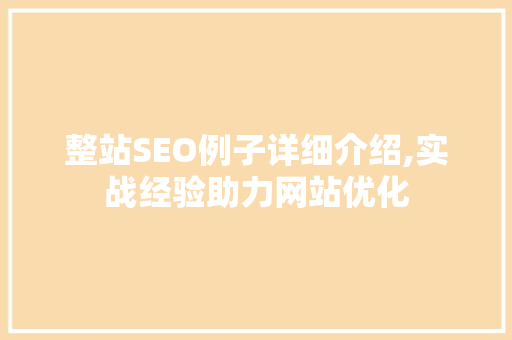 整站SEO例子详细介绍,实战经验助力网站优化