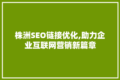 株洲SEO链接优化,助力企业互联网营销新篇章