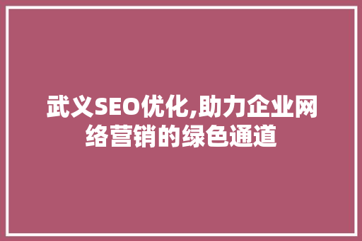 武义SEO优化,助力企业网络营销的绿色通道