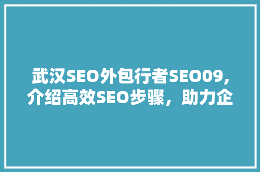 武汉SEO外包行者SEO09,介绍高效SEO步骤，助力企业腾飞