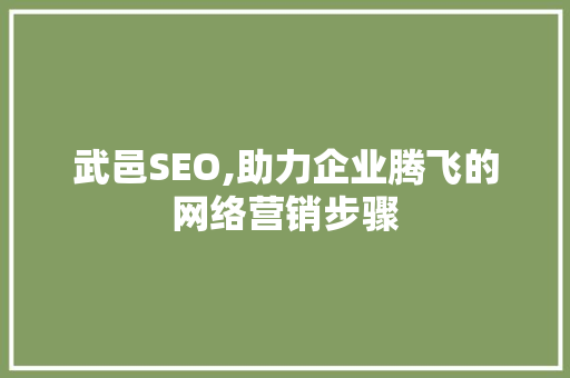 武邑SEO,助力企业腾飞的网络营销步骤