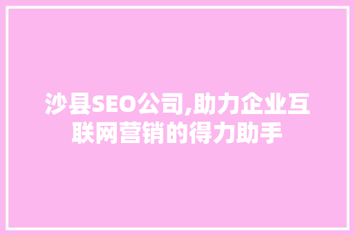 沙县SEO公司,助力企业互联网营销的得力助手