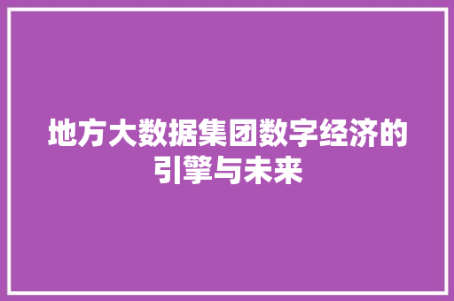 地方大数据集团数字经济的引擎与未来
