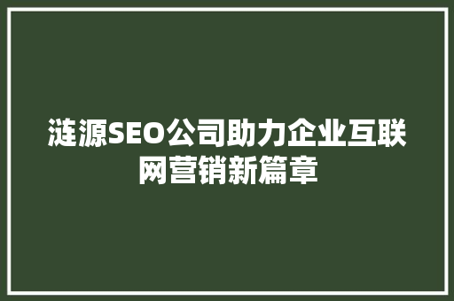 涟源SEO公司助力企业互联网营销新篇章