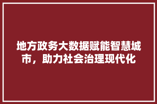 地方政务大数据赋能智慧城市，助力社会治理现代化  第1张