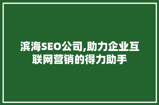滨海SEO公司,助力企业互联网营销的得力助手