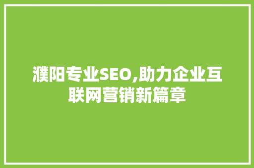 濮阳专业SEO,助力企业互联网营销新篇章