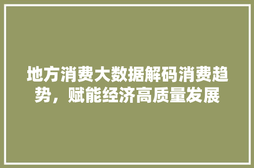 地方消费大数据解码消费趋势，赋能经济高质量发展  第1张