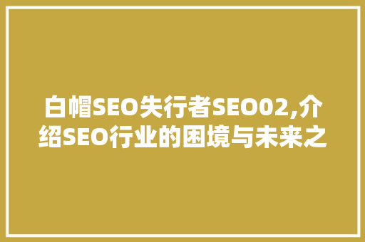 白帽SEO失行者SEO02,介绍SEO行业的困境与未来之路