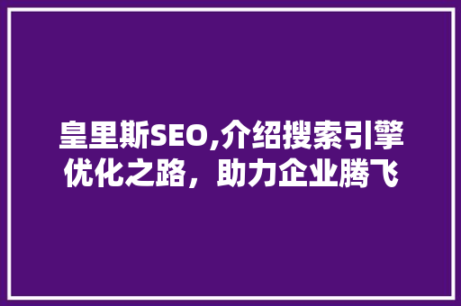 皇里斯SEO,介绍搜索引擎优化之路，助力企业腾飞