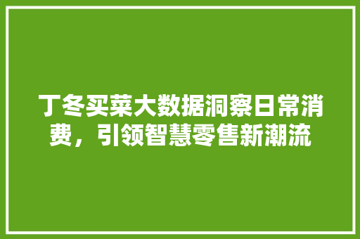 丁冬买菜大数据洞察日常消费，引领智慧零售新潮流