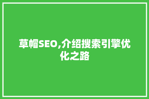 草帽SEO,介绍搜索引擎优化之路