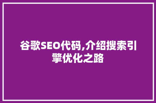 谷歌SEO代码,介绍搜索引擎优化之路