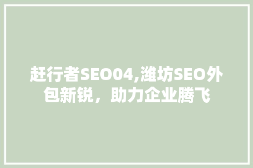 赶行者SEO04,潍坊SEO外包新锐，助力企业腾飞