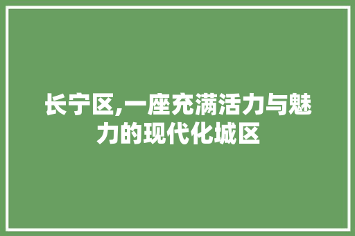 长宁区,一座充满活力与魅力的现代化城区  第1张