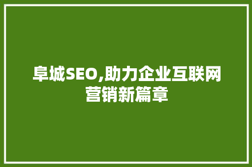 阜城SEO,助力企业互联网营销新篇章