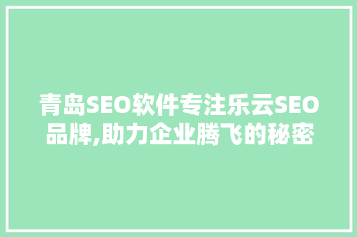 青岛SEO软件专注乐云SEO品牌,助力企业腾飞的秘密武器